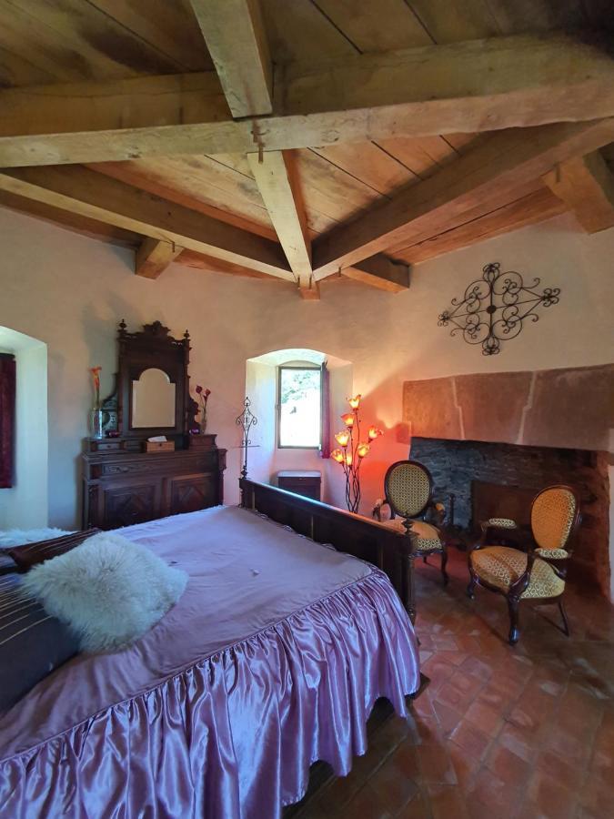 Chambre D'Hotes Au Chateau De Belcastel Belcastel  외부 사진