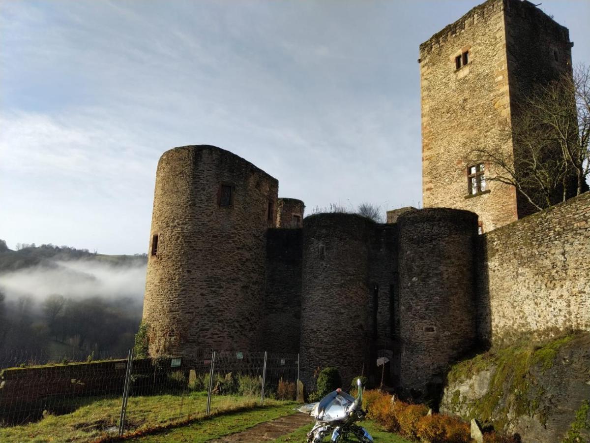 Chambre D'Hotes Au Chateau De Belcastel Belcastel  외부 사진