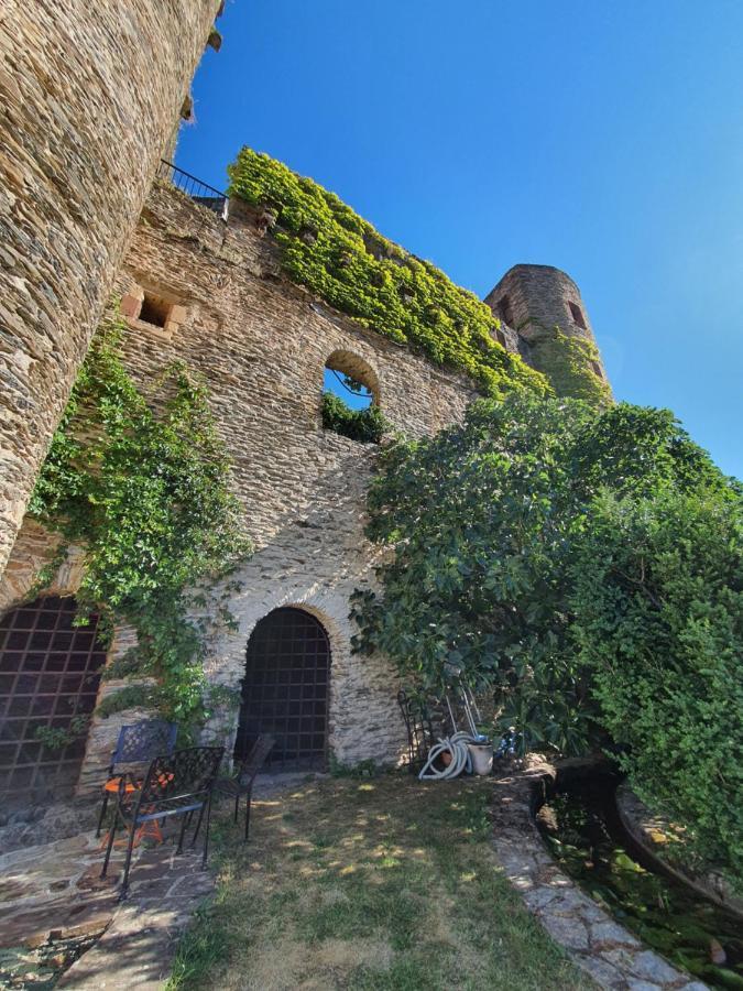 Chambre D'Hotes Au Chateau De Belcastel Belcastel  외부 사진