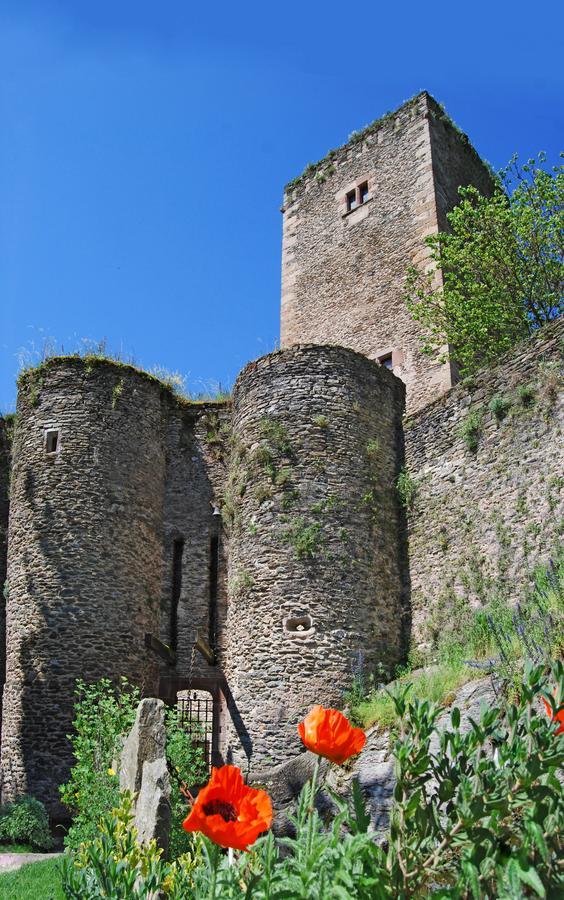 Chambre D'Hotes Au Chateau De Belcastel Belcastel  외부 사진