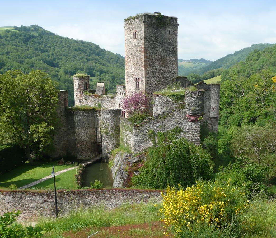 Chambre D'Hotes Au Chateau De Belcastel Belcastel  외부 사진